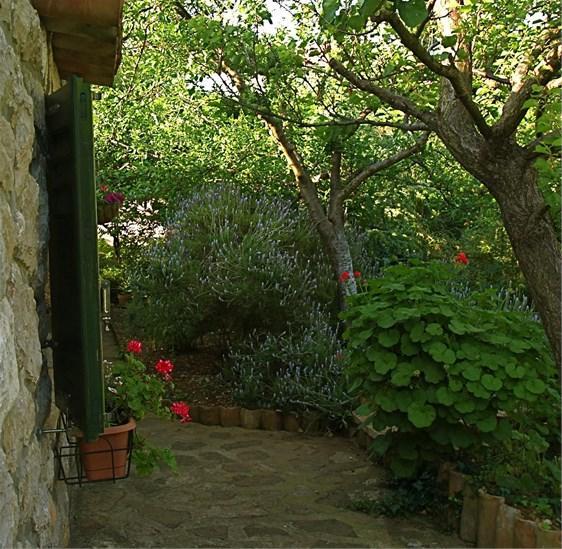 Apartments Cvita Veli Losinj Luaran gambar